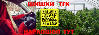 бошки Заводоуковск
