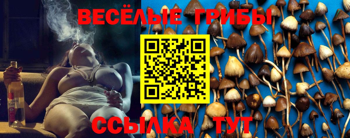 Псилоцибиновые грибы GOLDEN TEACHER  Вход с VPN  Майкоп  Галлюциногенные грибы мухоморы 