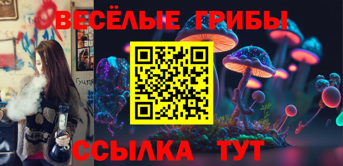 Псилоцибиновые грибы GOLDEN TEACHER Майкоп